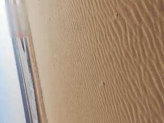 沿海某学院学生妹和男友海滩激情野战 脱掉内裤翘美臀后入直接无套插入爆操 国语对白 跪舔口爆 高清1080P版-喂！基娜